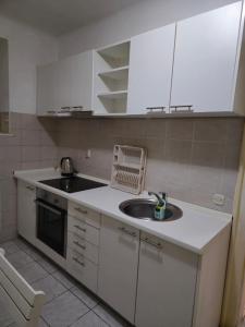 eine kleine Küche mit Spüle und Arbeitsplatte in der Unterkunft Apartment SG, Sarajevo in Sarajevo