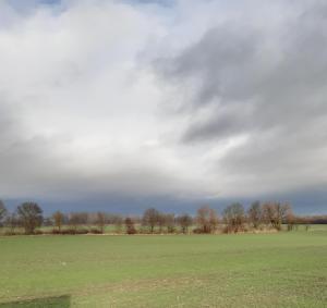 a large green field with a cloudy sky at Oderbruch Ferienwohnung Am Speicher in Neulewin