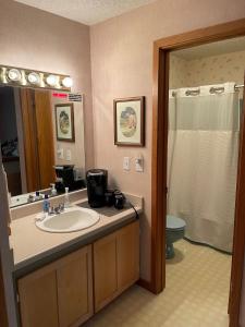 a bathroom with a sink and a toilet and a mirror at #146 Golf, SkI, Pool Pass Walk to hill in Mancelona