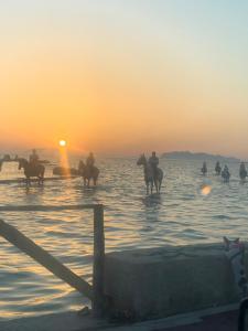 a group of people riding horses in the water at sunset at MareSol in Marsala