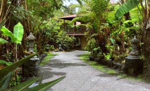 un camino que conduce a una casa en un jardín en Lotus Garden Cottages, en Volcano