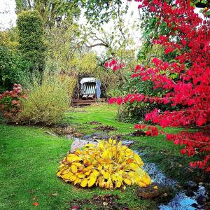 a bunch of flowers in a garden with a bench at Hof Garz Wohnung Kräutergarten in Poseritz