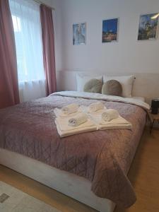 Katil atau katil-katil dalam bilik di Studio with free Parking in the Center - Deliamo 3