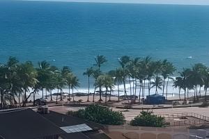 a view of a beach with palm trees and the ocean at Vista Para o Mar no 8º Andar conforto e Charme 807 in Salvador