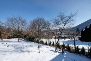 ein schneebedecktes Feld mit Bäumen und einem Zaun in der Unterkunft Florian's Haus in Michelsberg