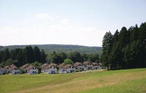 un gruppo di case su una collina in un campo di Ferienhaus Anne mit Sauna, See, Wald und Ruhe a Kirchheim