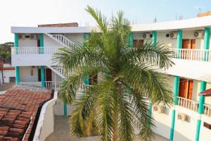 a palm tree in front of a building at Hotel Plaza Real Montelíbano in Montelíbano