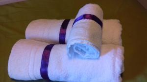 a roll of toilet paper with a blue object on it at Villa Anita Spa in Piriápolis +10 photos