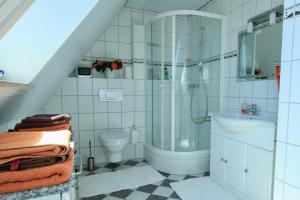 Un baño con ducha, inodoro y lavabo. en Ferienwohnung Kurkowski, en Fehmarn