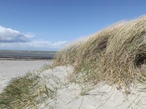 a pile of grass in the sand on a beach at "Ferienhaus Vadersdorf" Wohnung 2 in Vadersdorf +8 photos