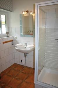 a bathroom with a sink and a shower at Ferienhof Rauert Haus 2 in Hinrichsdorf +3 photos