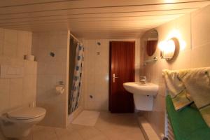 ein Badezimmer mit Toilette und Waschbecken in der Unterkunft "Ferienhof Alte Mühle" W 1a in Bannesdorf