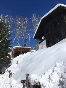 エルムにあるTöniberg Loungeの家の前の積雪