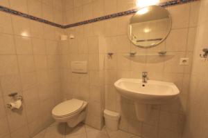 a bathroom with a sink and a toilet and a mirror at "Ferienhof Alte Mühle" W 4 in Bannesdorf