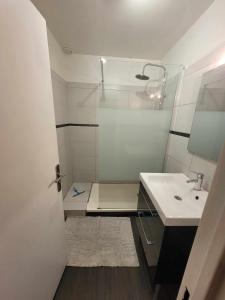 a bathroom with a shower and a sink and a mirror at Maison, 5 Chambres équipées, tout confort , fibre in Ouzouer-sur-Loire