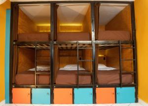 Cama ou camas em um quarto em Wild Rover Huacachina