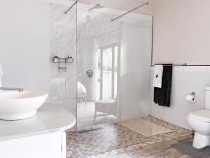 a bathroom with a shower and a toilet and a sink at Cathedral Peak Wine Estate Manor in Winterton +33 photos