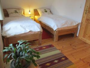 two twin beds in a room with a potted plant at "Lütt Huus" in Ostermarkelsdorf +4 photos