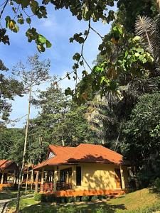 Сад в Tonsai Bay Resort