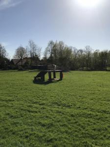 a person sitting on a picnic table in a field at Ferienhaus Mau in Meeschendorf +6 photos