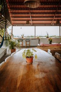 Φωτογραφία από το άλμπουμ του Terraza Puerto Hostel σε Puerto Escondido
