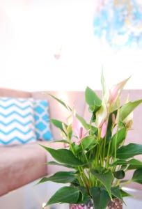 een vaas met een plant voor een bank bij STRANDIDYLL, 58 - Typ A1S in Grömitz