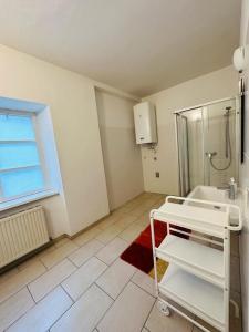 a bathroom with a sink and a shower at Wohnung mit einem Schlafzimmer mit Trennwand in Graz