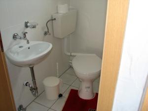 a small bathroom with a toilet and a sink at Hering in Grossenbrode