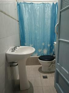 a bathroom with a sink and a toilet with a blue shower curtain at Hostel Downtown Las Morenas in Buenos Aires