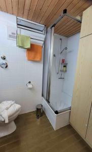 史代比兹Appartement Nr 11, Oberstaufen-Steibis, Allgäu, Oberstaufen PLUS的带淋浴和卫生间的浴室