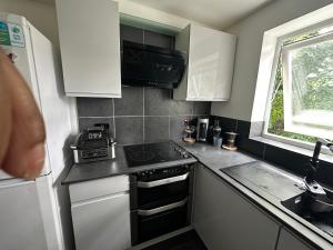 a small kitchen with a stove and a sink at Charming Flat in North London in Edmonton
