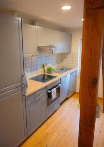 a kitchen with a sink and a refrigerator at Brise in Westermarkelsdorf
