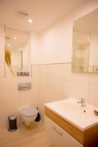 un bagno bianco con un water e un lavandino di Mistral a Westermarkelsdorf