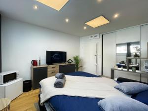 Μια τηλεόραση ή/και κέντρο ψυχαγωγίας στο HOMEY TINY - Chambre privée - Située en Hyper-centre - Disney Plus et Wifi inclus - Sans SDB - Proche de Genève et des transports en commun