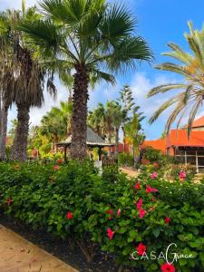 palma w ogrodzie z różowymi kwiatami w obiekcie Rentalfue Tamarindo 1 casa Grace w Corralejo