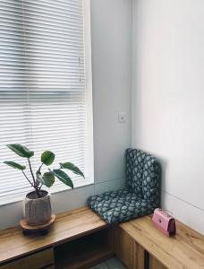 a plant sitting on a wooden bench next to a window at SISI Căn hộ du lịch Huế in Ấp Hà Dồ +2 photos