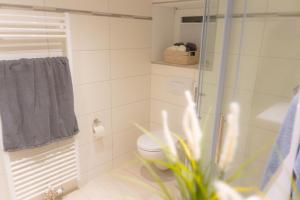 a bathroom with a toilet and a glass shower at Twister in Westermarkelsdorf