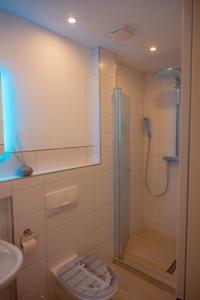 a bathroom with a shower with a toilet and a sink at Seewind in Westermarkelsdorf +11 photos