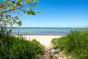 a path to the beach with the ocean in the background at C 5 Premium Reethaus Delphin mit eigenem Whirlpool und Außensauna in Gramkow