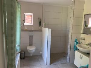 a bathroom with a toilet and a sink at Ferienwohnung in der Schleife in Rendsburg +7 photos