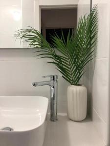 Kúpeľňa v ubytovaní Apartamento AQUAVIVA - El Médano