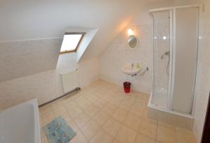 a attic bathroom with a sink and a shower at Penzion Poodří in Suchdol nad Odrou +26 photos