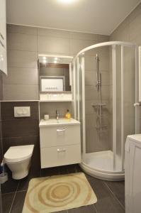 een badkamer met een douche, een toilet en een wastafel bij Apartment Dina 52 in Rovinj