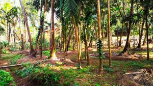 Um jardim no exterior de Samant Beach Resort