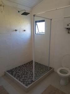 a shower in a bathroom with a toilet at Cape Karoo Cottage in Harkerville +28 photos