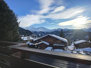 Příroda nedaleko apartmánu + 2 fotografie