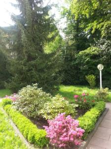 a garden with pink flowers in a yard at Apartment near Villa Turgenev in Baden-Baden