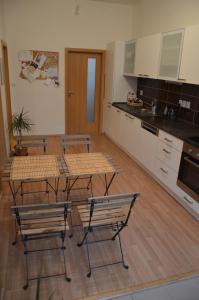 Una cocina o zona de cocina en Comfortable Apartment Vlkova