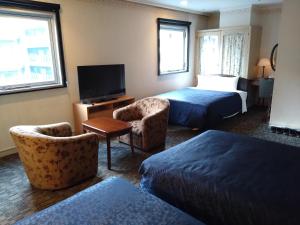 TV a/nebo společenská místnost v ubytování Asakusa Central Hotel