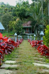 Zahrada ubytování Ayurnest Pool Resort Wayanad